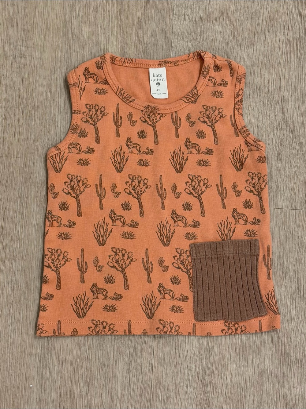 Kate Quinn Orange Desert Print Tank Top | 4T